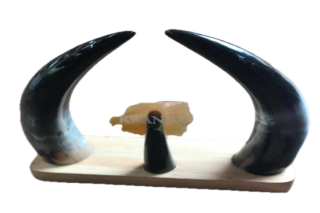 Cow Horn